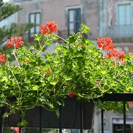 Hotel Regis Milazzo